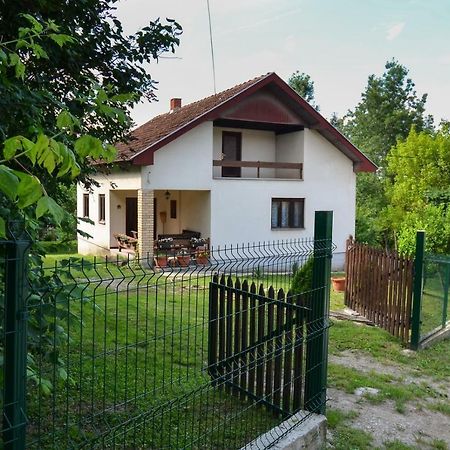 Kuca Za Odmor Radovanovic Despotovac Exterior foto