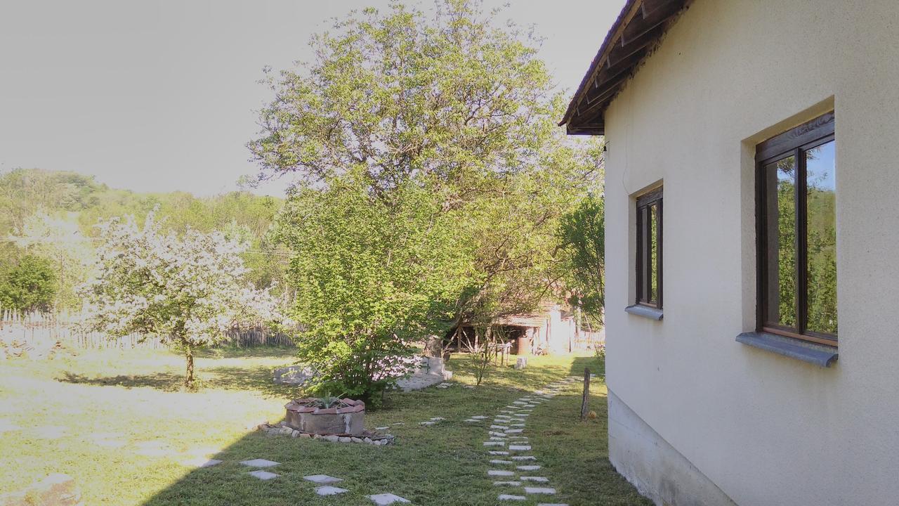 Kuca Za Odmor Radovanovic Despotovac Exterior foto