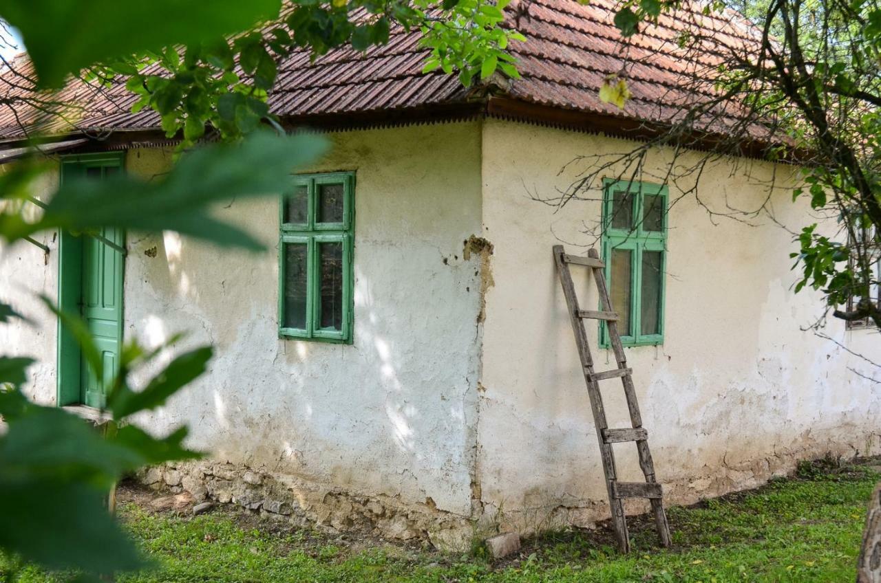 Kuca Za Odmor Radovanovic Despotovac Exterior foto