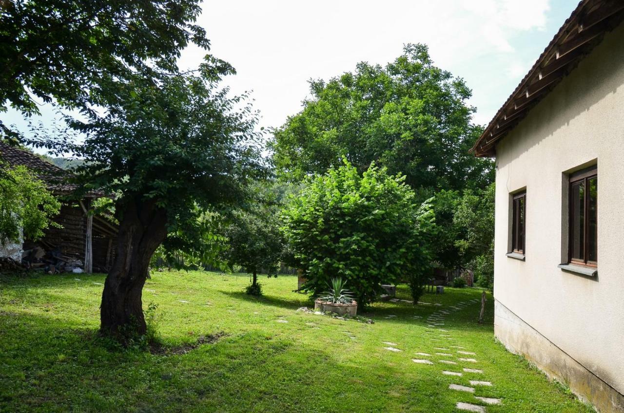 Kuca Za Odmor Radovanovic Despotovac Exterior foto