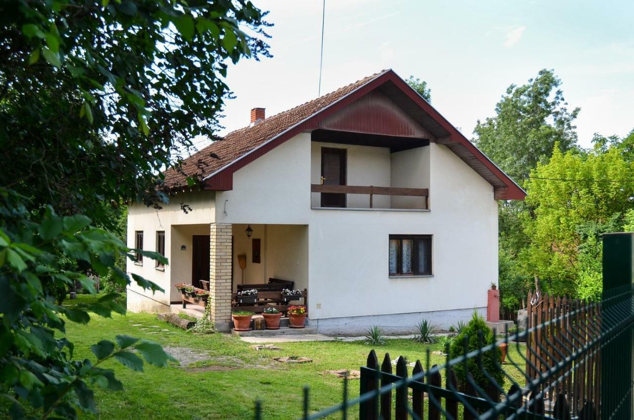 Kuca Za Odmor Radovanovic Despotovac Exterior foto