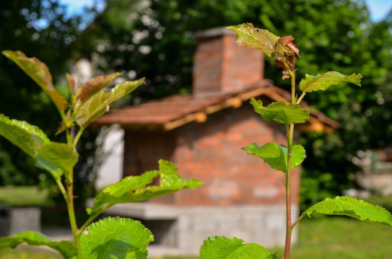 Kuca Za Odmor Radovanovic Despotovac Exterior foto
