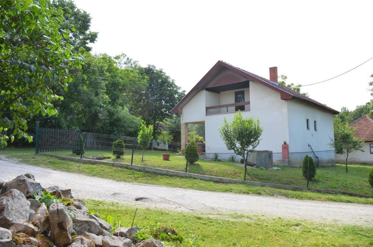 Kuca Za Odmor Radovanovic Despotovac Exterior foto