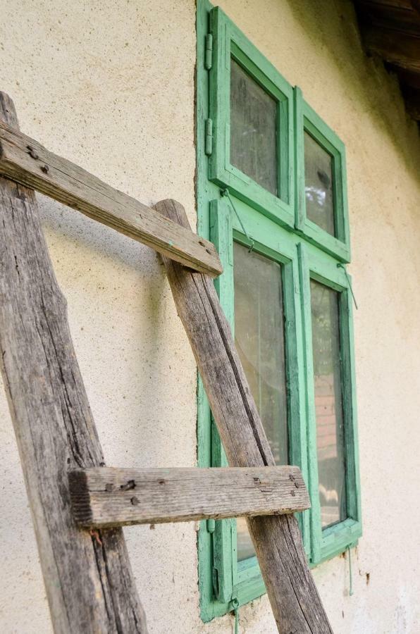 Kuca Za Odmor Radovanovic Despotovac Exterior foto