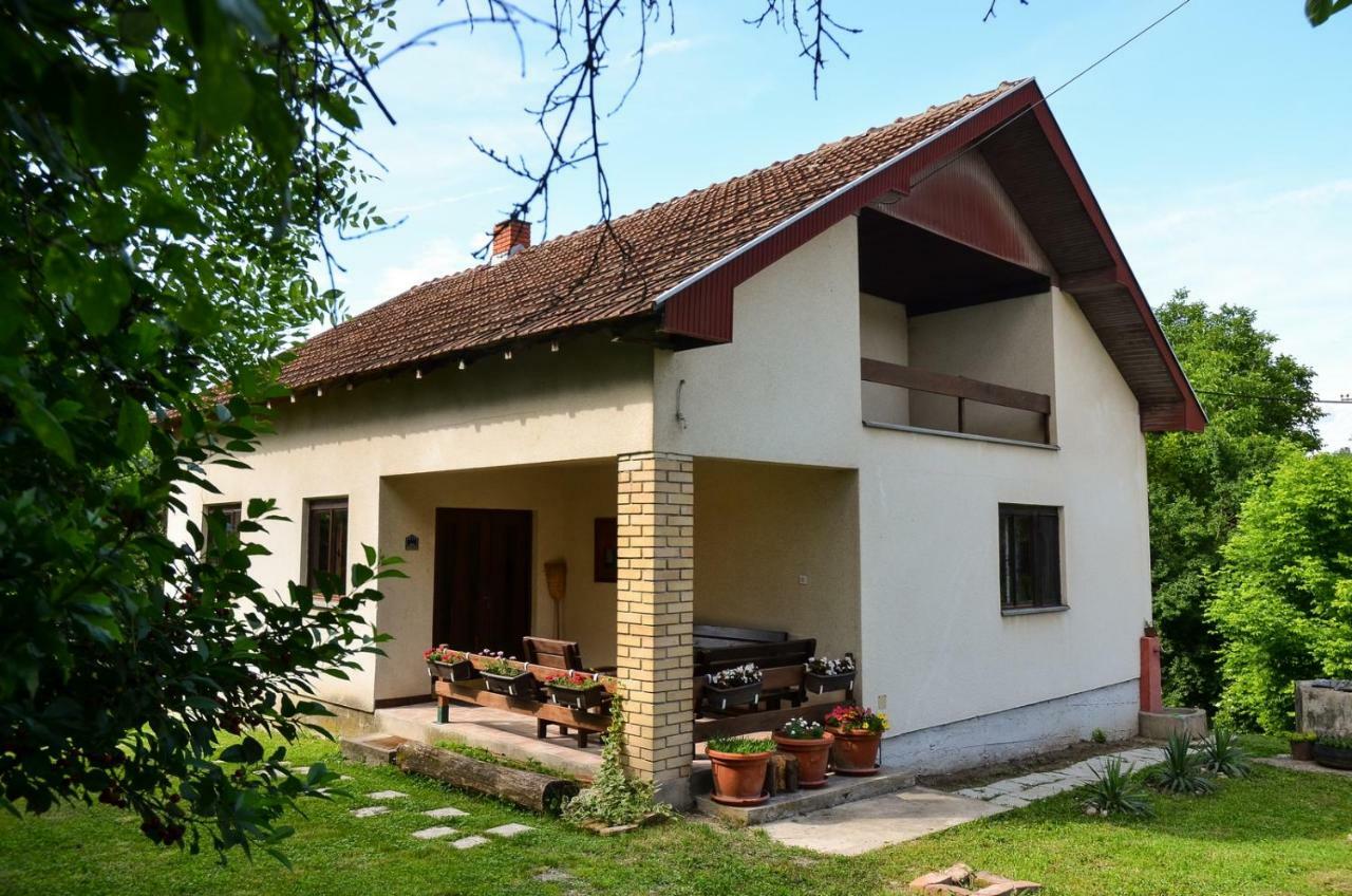 Kuca Za Odmor Radovanovic Despotovac Exterior foto