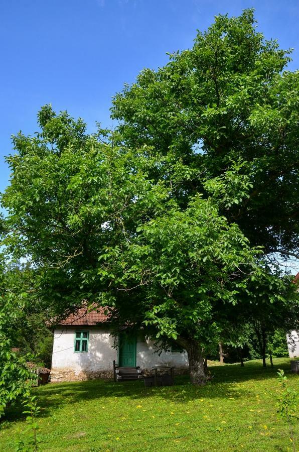 Kuca Za Odmor Radovanovic Despotovac Exterior foto
